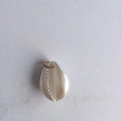 这种贝壳模样的珍珠谁家有