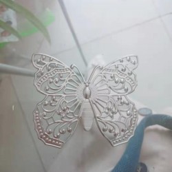 这个蝴蝶铁片谁家有啊？